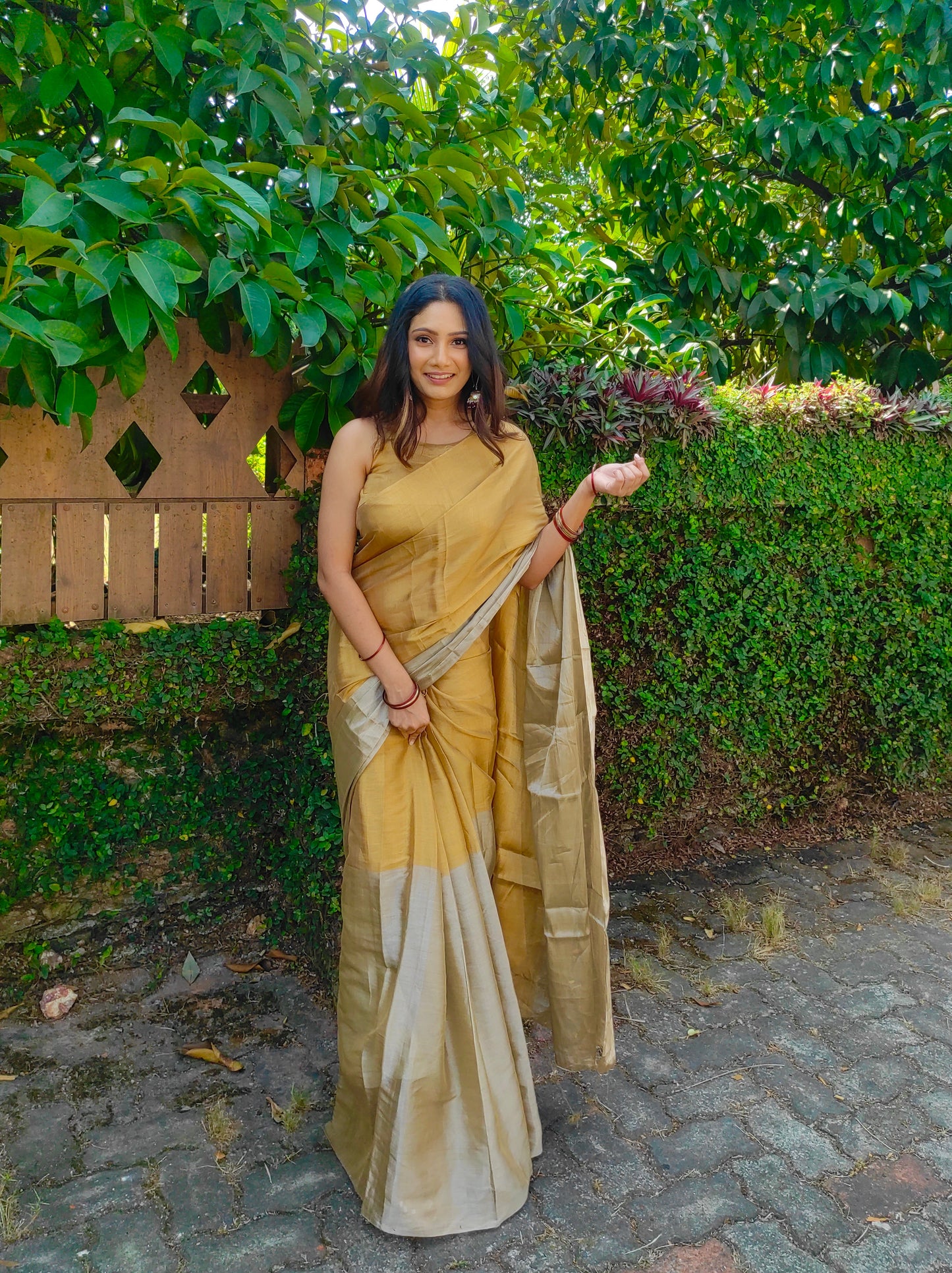 Gold and silver chanderi tissue silk saree